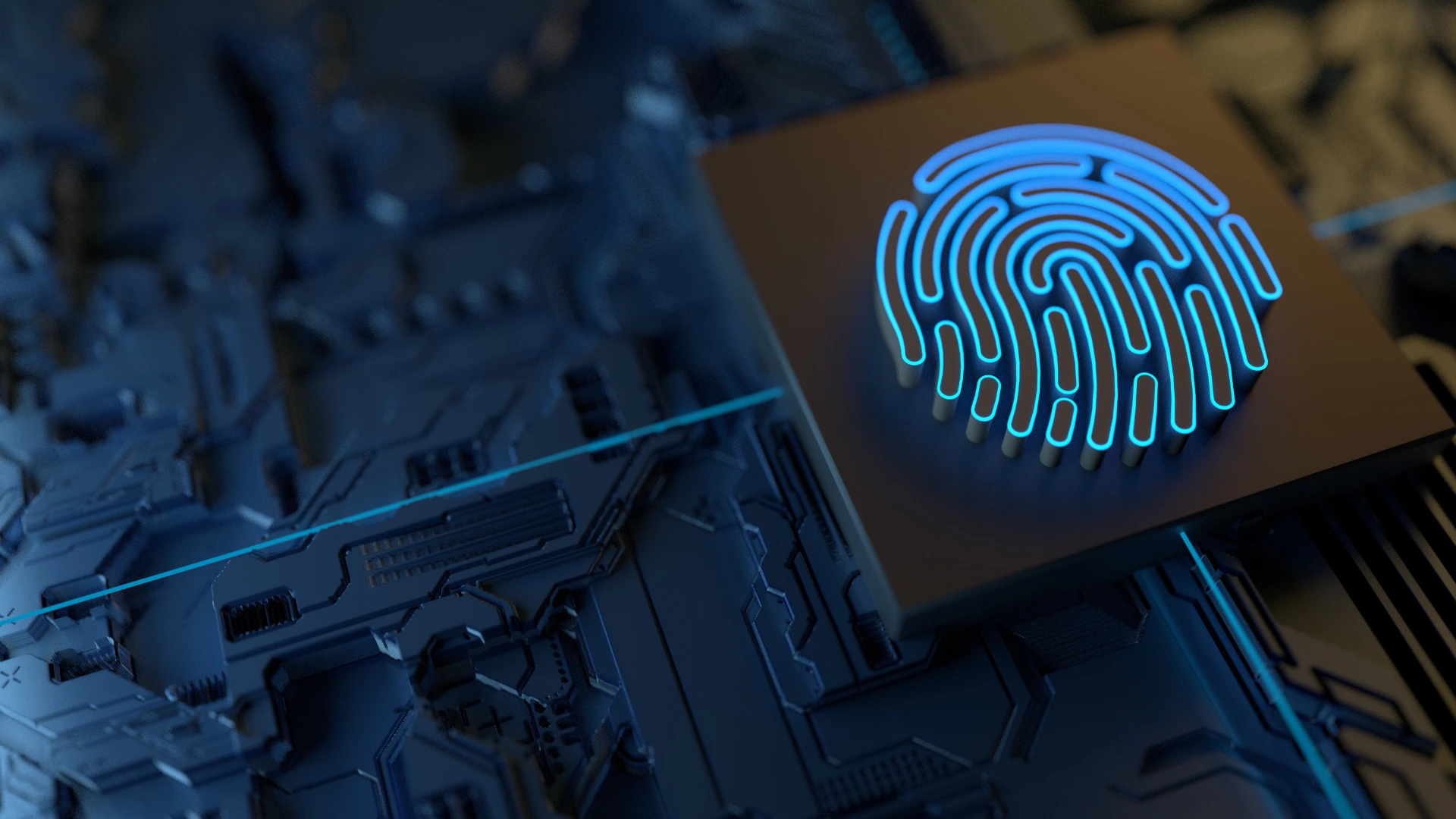 digital asset protection