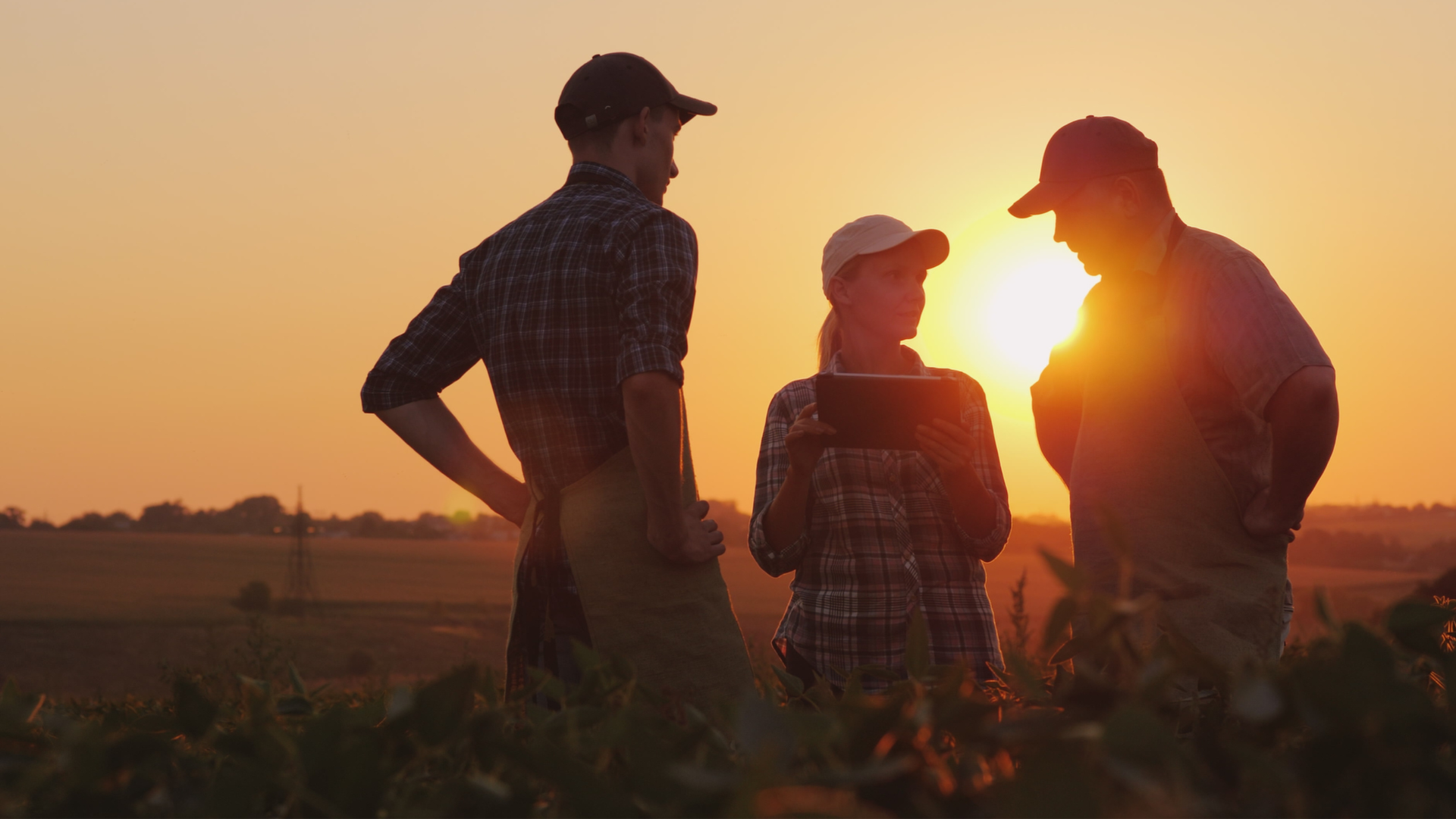 family-business-exit-planning